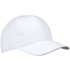 6 Panel Raven Cap