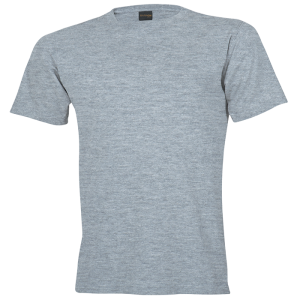 160g Barron Crew Neck T-Shirt (TST160B)