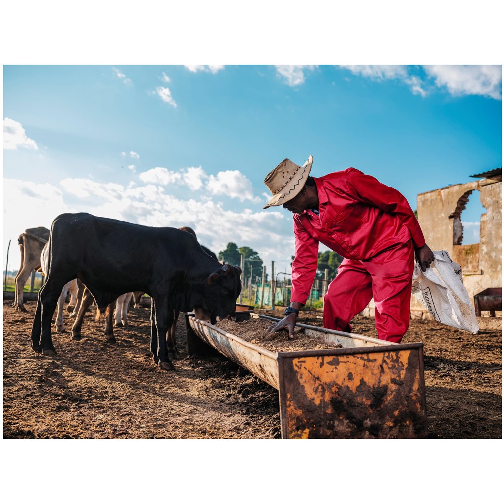 ALT-1101-R-LIFESTYLE02_1024X1024