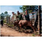 ALT-1112-KH-LIFESTYLE05_1024X1024