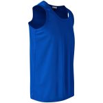 ALT-ASMV-RB-GHSI-NO-LOGO_1024X1024