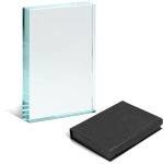 AWARD-100-NOLOGODEFAULT_1024X1024