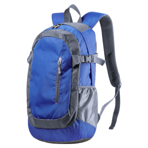 Densul Backpack