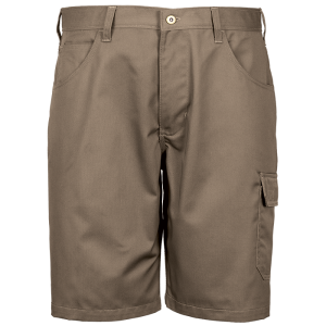 Rogue Shorts