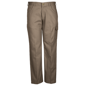 Brixton Pants