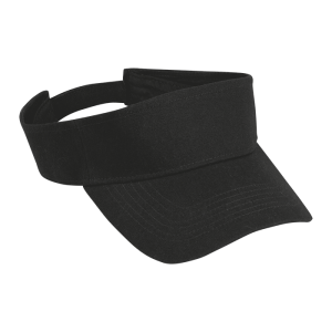 Arena Visor