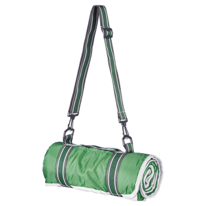 Master Picnic Blanket