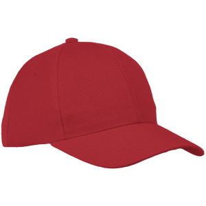 6 Panel Raven Cap