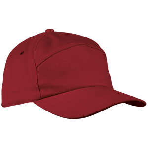 6 Panel Carbon Cap