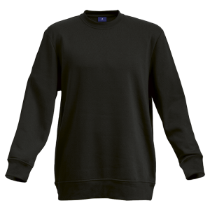 Barron Basic Crew Neck Sweater