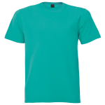 TST-02-PW-dustyaqua