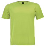 TST-02-PW-lime